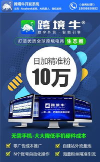 Facebook 社交网络巨头及其数字内容生态